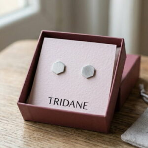 Aretes de Botón Geométricos de Acero Satinado | Tridane