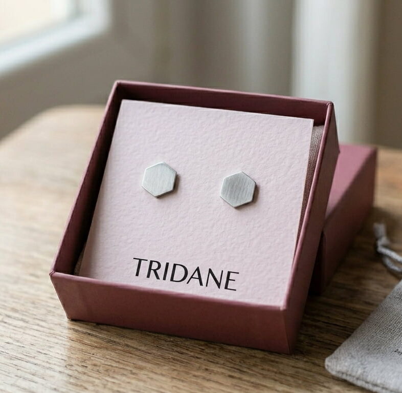 Aretes de Botón Geométricos de Acero Satinado | Tridane